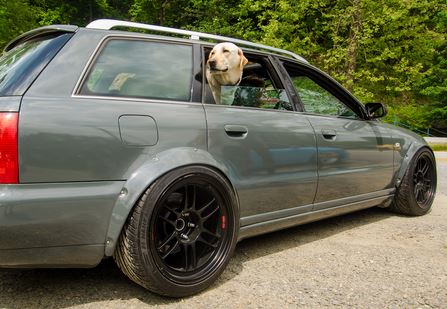 Fender arches